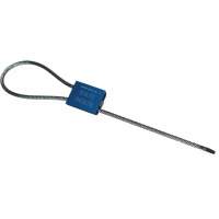 Scell&eacute; de s&eacute;curit&eacute; &agrave; c&acirc;ble Flexsecure FS35, 12", M&eacute;tal, Scell&eacute; &agrave; c&acirc;ble St. Lawrence Industrial & Safety Supply