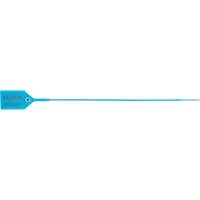 Scell&eacute; de s&eacute;curit&eacute; standard, 12", Plastique, Scell&eacute; en plastique St. Lawrence Industrial & Safety Supply