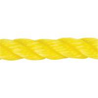 Corde jaune tress&eacute;e, Polypropyl&egrave;ne, 144' St. Lawrence Industrial & Safety Supply