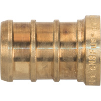 Capuchon de tuyau sans plomb, Tuyau, 1/2" dia., Laiton St. Lawrence Industrial & Safety Supply