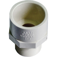 Adaptateur r&eacute;ducteur m&acirc;le, Noeud x MPT, 1/2" x 3/4" dia., PVC-C St. Lawrence Industrial & Safety Supply