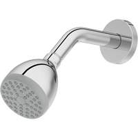 One-Function Showerhead St. Lawrence Industrial & Safety Supply