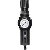 Filtre/r&eacute;gulateur drain manuel avec bol standard Modulair 300, 1/4" NPT, 150 psi, Capacit&eacute; de 5,1 oz liq. St. Lawrence Industrial & Safety Supply