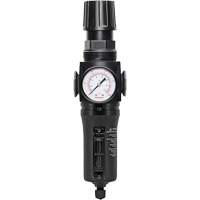 Filtre/r&eacute;gulateur drain manuel avec bol en m&eacute;tal Modulair 300, 1/4" NPT, 250 PSI, Capacit&eacute; de 5,1 oz liq. St. Lawrence Industrial & Safety Supply
