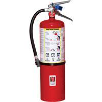 Fire Extinguisher, ABC, 10 lbs. Capacity St. Lawrence Industrial & Safety Supply
