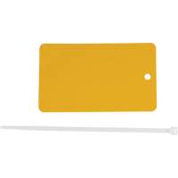 Blank Tags