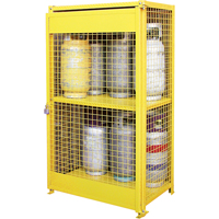 Armoires pour cylindres &agrave; gaz, nbre de bouteilles: 12, 44" , 30" , 74" , Jaune St. Lawrence Industrial & Safety Supply