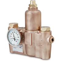 Vannes de m&eacute;lange thermostatiques, 19,5 gal./min St. Lawrence Industrial & Safety Supply