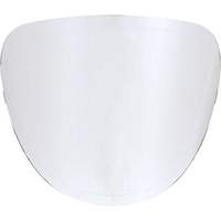Lentilles de rechange St. Lawrence Industrial & Safety Supply