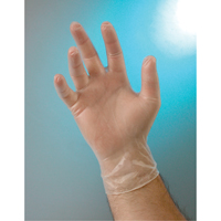 Gants d'examen, Petit, Vinyle, 4 mils, Sans poudre, Transparent, Classe 2 St. Lawrence Industrial & Safety Supply