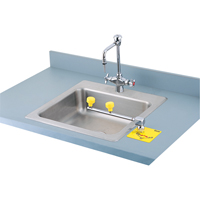 Poste de douche oculaire Swing-Away, Installation Montage sur comptoir St. Lawrence Industrial & Safety Supply