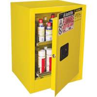 Armoire de s&eacute;curit&eacute; d'&eacute;tabli pour produits inflammables EX Sure-Grip, 24 gal., 1 Porte(s), 21" La x 27" h x 18" p St. Lawrence Industrial & Safety Supply