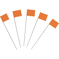 Marking Flags St. Lawrence Industrial & Safety Supply