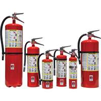 Fire Extinguisher, ABC, 30 lbs. Capacity St. Lawrence Industrial & Safety Supply