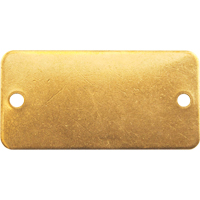 Blank Tags, Brass, 2" W x 1" H St. Lawrence Industrial & Safety Supply