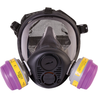 North&reg; RU6500 Series Full Facepiece Respirator, Silicone, Large St. Lawrence Industrial & Safety Supply