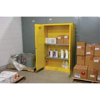 Armoire pour produits inflammables, 45 gal., 2 Porte(s), 43" La x 65" h x 18" p St. Lawrence Industrial & Safety Supply