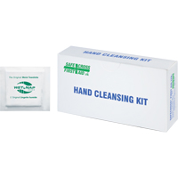Hand Cleansing Moist Wipes, Towelette St. Lawrence Industrial & Safety Supply