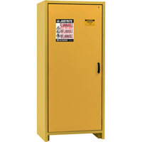 Armoire d'entreposage 30 minutes s&eacute;curitaire et conforme &agrave; la norme EN, 30 gal., 1 Porte(s), 34,02" La x 76,65" h x 24,21" p St. Lawrence Industrial & Safety Supply