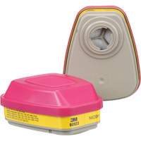 6000 Series Respirator Cartridges, Gas/Vapour Cartridge, Organic Vapour/Acid Gas/P100 St. Lawrence Industrial & Safety Supply
