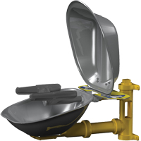 Halo Face/Eyewash Stations, Wall-Mount Installation, Stainless Steel Bowl St. Lawrence Industrial & Safety Supply