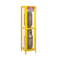 Armoires pour cylindres &agrave; gaz, nbre de bouteilles: 2, 17" , 17" , 69" , Jaune St. Lawrence Industrial & Safety Supply