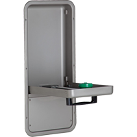 Eye/Face Wash Station, Wall-Mount Installation, Stainless Steel Bowl St. Lawrence Industrial & Safety Supply