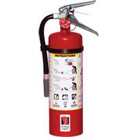 Fire Extinguisher, ABC, 5 lbs. Capacity St. Lawrence Industrial & Safety Supply