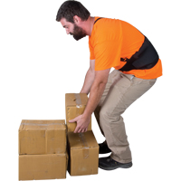 Back Support, Elastic, Small St. Lawrence Industrial & Safety Supply