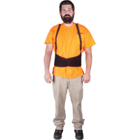 Back Support, Elastic, Small St. Lawrence Industrial & Safety Supply