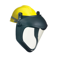 Protection de visage