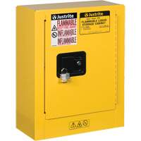 Mini-armoires de s&eacute;curit&eacute; Sure-Grip EX pour produits inflammables, 2 gal., 1 Porte(s), 17" La x 22" h x 8" p St. Lawrence Industrial & Safety Supply