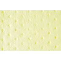 Premium Bonded Sorbent Pads, Hazmat, 15" x 18", 30 gal. Absorbancy St. Lawrence Industrial & Safety Supply