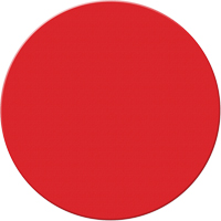 Marqueurs all&eacute;g&eacute;e/5S Armor Stripe, Cercle, 6" lo x 6" la, Rouge, Plastique St. Lawrence Industrial & Safety Supply