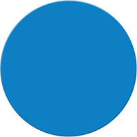 Marqueurs all&eacute;g&eacute;e/5S Armor Stripe, Cercle, 6" lo x 6" la, Bleu, Plastique St. Lawrence Industrial & Safety Supply