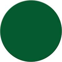 Marqueurs all&eacute;g&eacute;e/5S Armor Stripe, Cercle, 6" lo x 6" la, Vert, Plastique St. Lawrence Industrial & Safety Supply