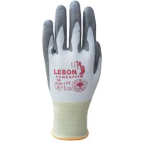 Gants r&eacute;sistants &agrave; la coupe PowerFit Lebon, Taille 2T-Grand/11, Calibre 13, Rev&ecirc;tement Polyur&eacute;thane, Enveloppe en Poly&eacute;thyl&egrave;ne, ASTM ANSI niveau A2/EN 388 niveau B St. Lawrence Industrial & Safety Supply