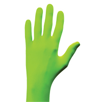 Gants N-Dex, Petit, Nitrile, 5 mils, Sans poudre, Vert St. Lawrence Industrial & Safety Supply