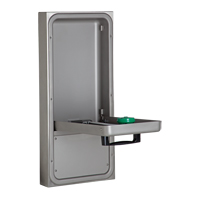 Eye/Face Wash Station, Wall-Mount Installation St. Lawrence Industrial & Safety Supply