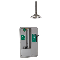 Douche et douche oculaire/faciale, Montage au plafond St. Lawrence Industrial & Safety Supply