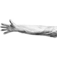 Gants jetables, Grand, Poly&eacute;thyl&egrave;ne, 9 mils, Poudr&eacute;s, Transparent St. Lawrence Industrial & Safety Supply