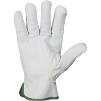 Endura&reg; Cut-Resistant Arc Flash Gloves, X-Small, 10" L, 36 cal/cm², Level 3, NFPA 70E St. Lawrence Industrial & Safety Supply