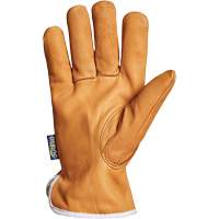 Endura&reg; Driver's Glove, Small, Grain Goatskin Palm, Thinsulate Inner Lining St. Lawrence Industrial & Safety Supply