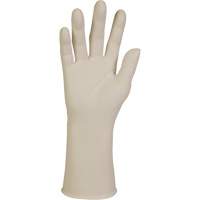 XTRA-PFE Exam Gloves, Large, Latex, 10-mil, Powder-Free, White, Class 2 St. Lawrence Industrial & Safety Supply