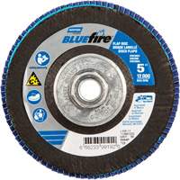 Flap Discs