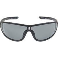 Z3000 Series Safety Glasses, Grey/Smoke Lens, Anti-Fog/Anti-Scratch, ANSI Z87+/Meets/Exceeds CSA Z94.3 St. Lawrence Industrial & Safety Supply