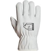 Endura&reg; Winter-Lined Driver Gloves, X-Large, Grain Goatskin Palm, Thinsulate Inner Lining St. Lawrence Industrial & Safety Supply