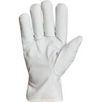 Endura&reg; Winter-Lined Driver Gloves, X-Large, Grain Goatskin Palm, Thinsulate Inner Lining St. Lawrence Industrial & Safety Supply