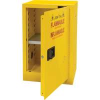 Flammable Storage Cabinet, 12 gal., 1 Door, 23" W x 35" H x 18" D St. Lawrence Industrial & Safety Supply