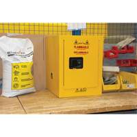 Flammable Storage Cabinet, 4 gal., 1 Door, 17" W x 22" H x 18" D St. Lawrence Industrial & Safety Supply